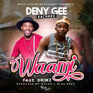 Deny-Gee-_Ft_-Drimz-Mr-Music-Wami-Prod_By_Byron-On-It-_-_-Blu-spac-mp3-image