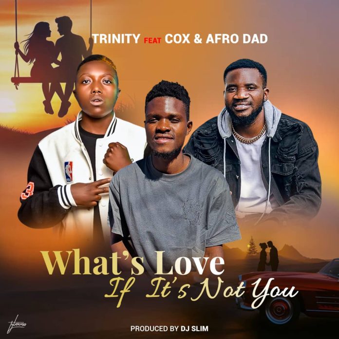 Trinity Feat Cox & Afro Dad – What's Love | Latest Zambia Afrobeat 2025 | Download MP3