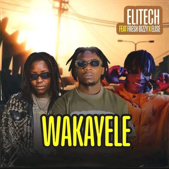 Elitech feat Fresh Bizzy & Elise – “Wakayele” | Latest Zambian music | Download mp3